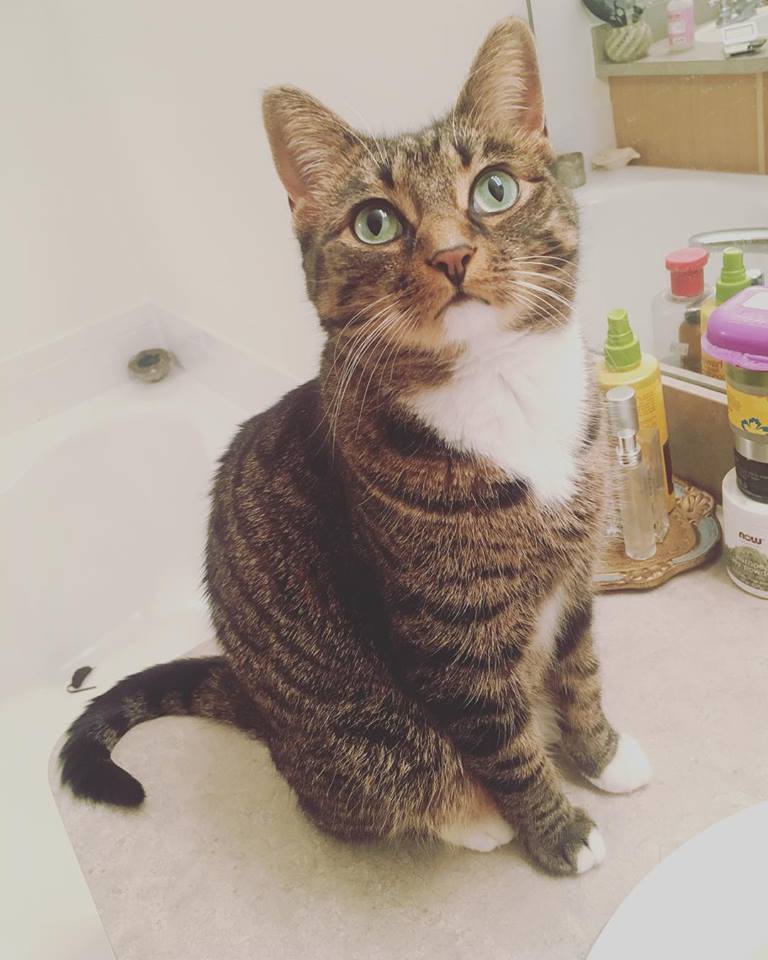 26229728_10159596543690315_8580620052442104515_n