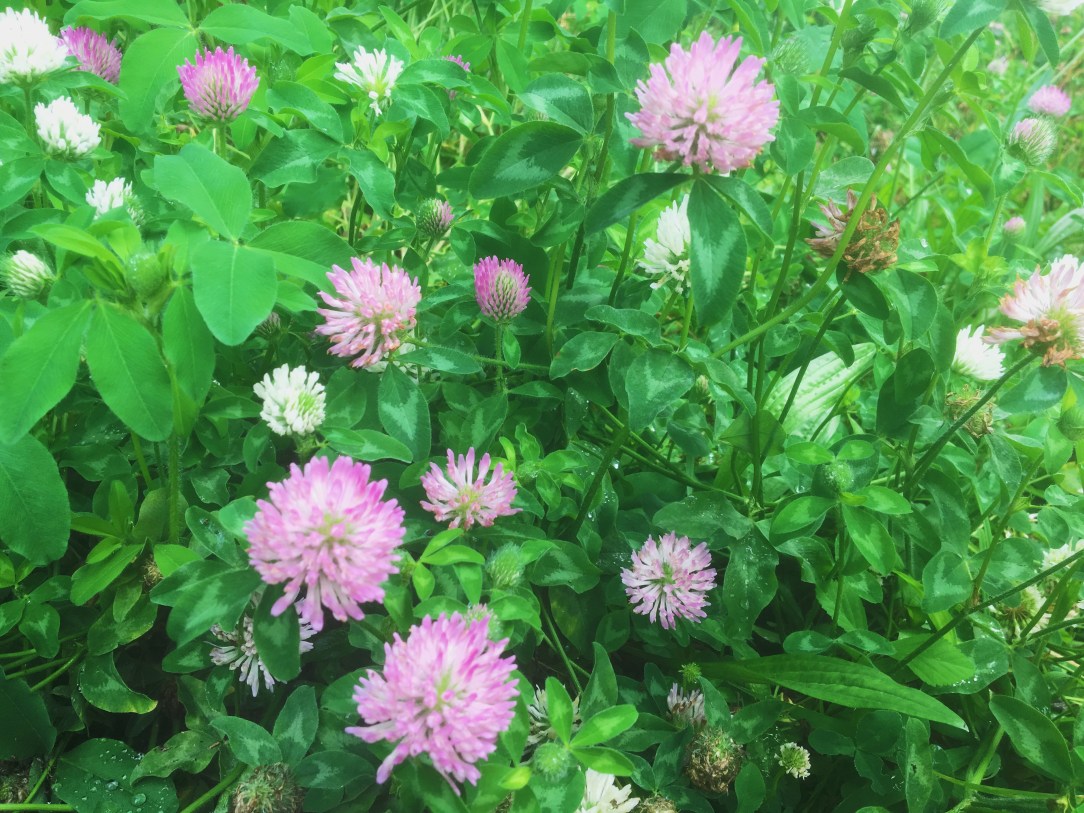 480A0158-3D8C-4584-8A40-A817D6564D4F