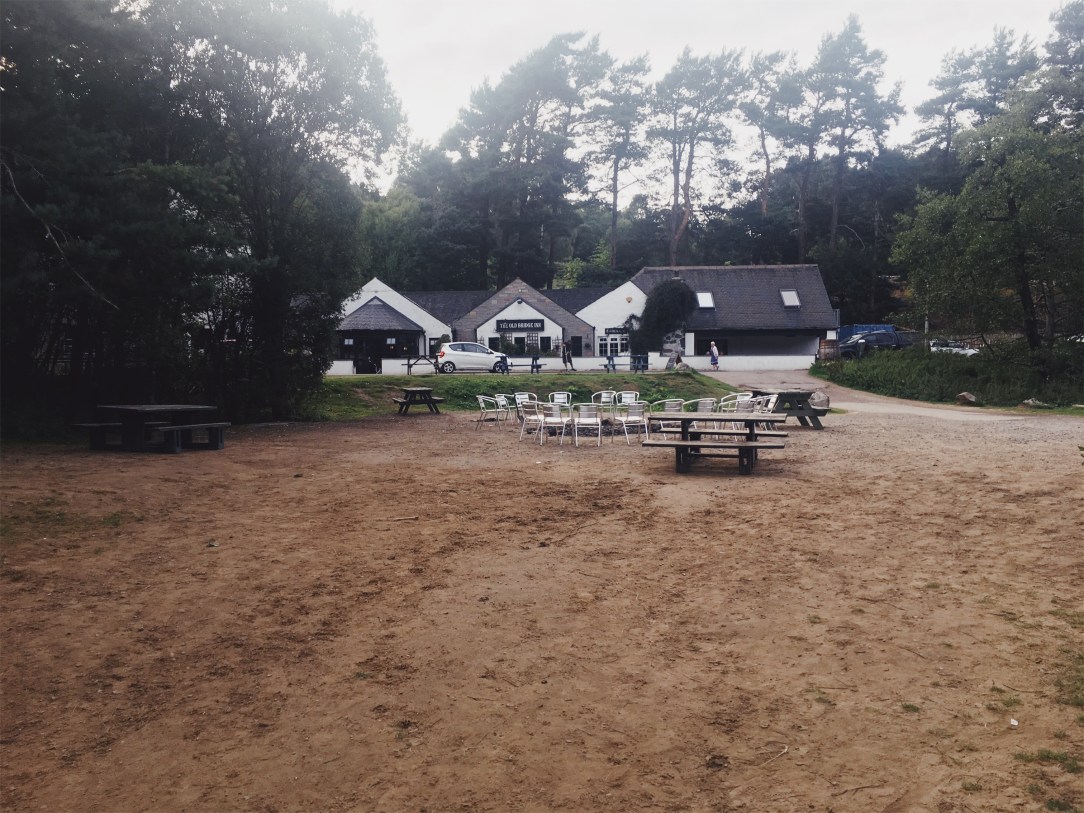 Processed with VSCO with av4 preset