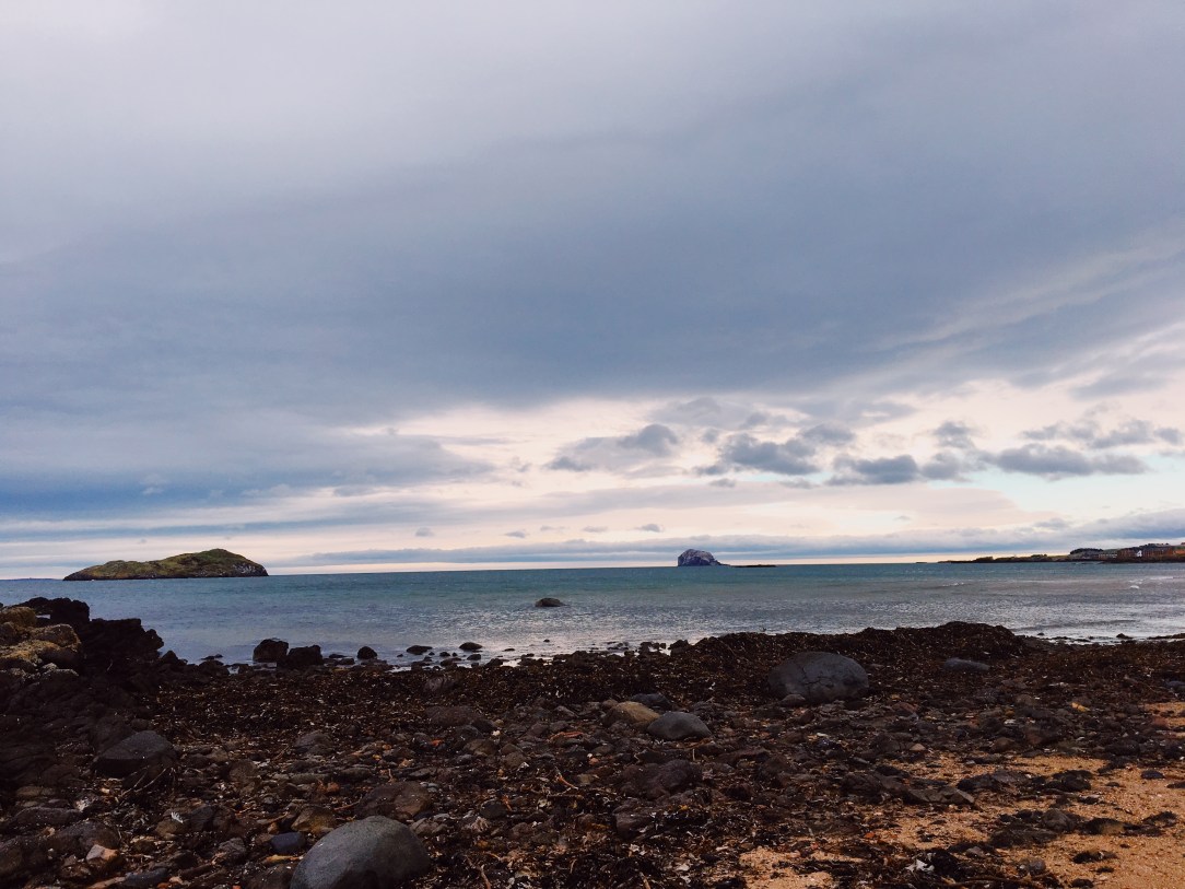 Processed with VSCO with au5 preset